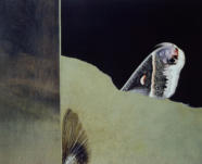 Wim Blom-Serpent collage