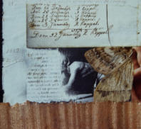 Wim Blom collage 1812