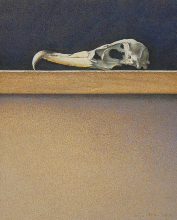 Wim Blom-  Bird Skull- Ballinglen Museum of Arts, Ireland