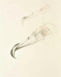 WIM Blom-Bird-beak.2011.graphite-on-paper