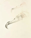 WIM Blom-Bird-beak.2011.graphite-on-paper