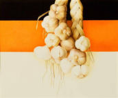 Wim Blom-Bunch of Garlic 2005 egg tempera on paper 31 x 38 cm-12 1/4 x 15 inches