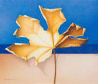Wim Blom-Dry leaf 2009-2010Egg tempera on gesso panel 27.4 x 32 cm-10 3/4 x 12 5/8 inches