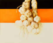 Wim Blom - Bunch of garlic 2005  12”x15”-