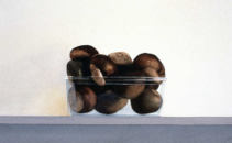 Wim Blom - Conkers in bowl 1988 egg tempera on paper